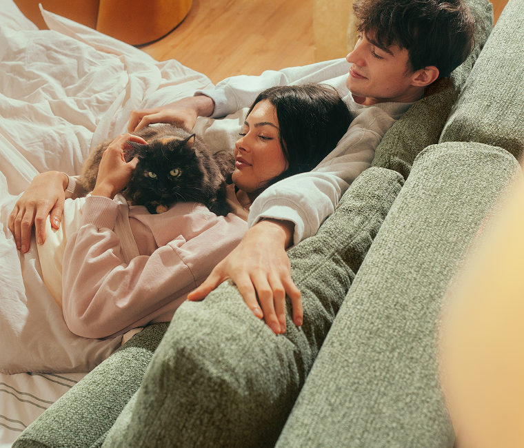 Sleeper Sofa