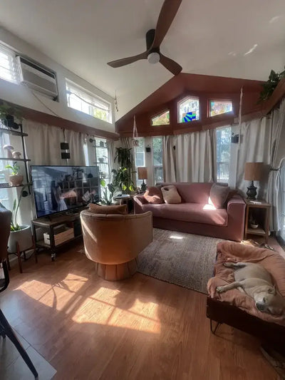 Living room with a brown sofa